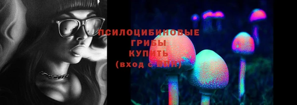 меф Бердск