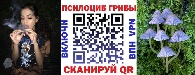 blacksprut вход  цена наркотик  Емва  Галлюциногенные грибы мицелий 